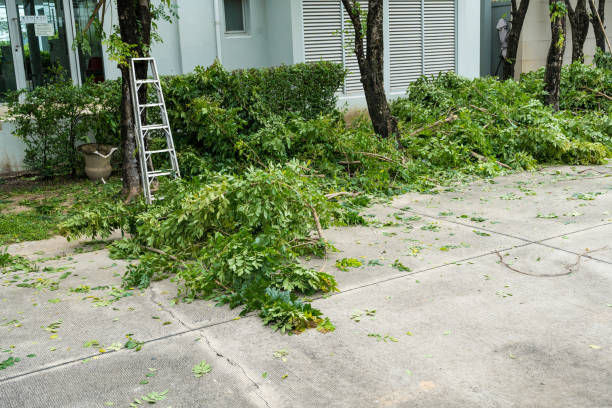 Lawn Drainage Solutions in South Glens Falls, NY
